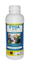 CYGA 50 EC