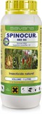 SPINOCUR 480 SC