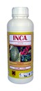 INCA