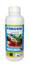 FONGSIN 