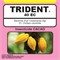 TRIDENT 40 EC