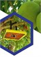 M3 - Fruit Fly Bait Station